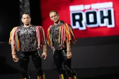 AEW-ROH-DTC-THEYOUNGBUCKS-15011561-lpr_900x