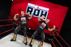 AEW-ROH-DTC-THEYOUNGBUCKS-15011573-lpr_900x